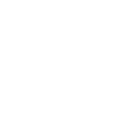 twitter icon